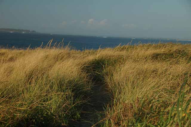 Half-Moon Bay, Westport